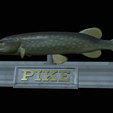 Pike-statue-15.png fish Northern pike / Esox lucius statue detailed texture for 3d printing