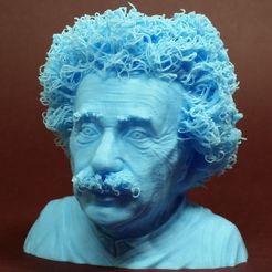 Hairy Einstein