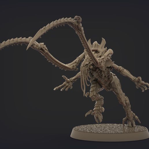 nids.1142.jpg ORIGINAL PLASTIC FREE LICTOR (2-4 poses)