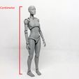 tol.jpg Lady Figure the 3D printed female action figure
