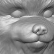 14.jpg Puppy of Pomeranian dog head for 3D printing