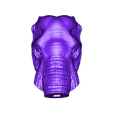 Elephant_African_2.stl Elephant African Head