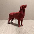 LowPolyRetriever-pose.jpg Low Poly Dog Collection