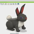 20171024_170223000_iOS.jpg Bunny rabbit