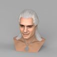 untitled.1733.jpg Geralt of Rivia The Witcher Cavill bust full color 3D printing