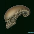 11.jpg Xenomorph Alien biomechanical head