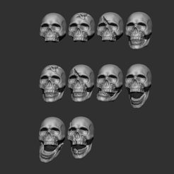 10-Skulls.png 10 Human Skulls