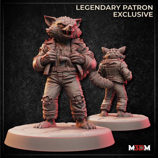 Raccoonfolk Rogue 3D model preview
