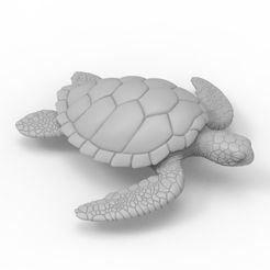 untitled.41.jpg Fichier STL Tortue de mer・Modèle à télécharger et à imprimer en 3D