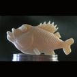fishy.boxjpg.jpg STL-Datei Fish kostenlos・3D-druckbares Modell zum herunterladen, Davision3D