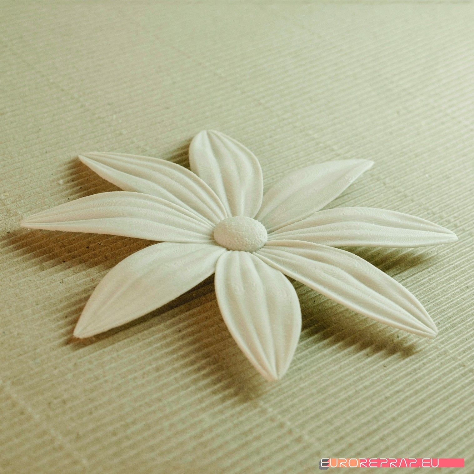 04b.jpg Download STL file flowers: Aster - 3D printable model • 3D printing model, euroreprap_eu