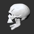 9.jpg Skull Anatomy  3D print model