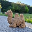 e78ad812-f8d6-47cd-bd17-f6dfc7f0ec3e.jpg Chill Bactrian Camel – Cute Desert Buddy