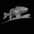 bass-na-podstavci-20.png bass underwater statue detailed texture for 3d printing
