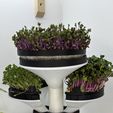 IMG_5589.jpeg Modular Microgreens Tower - Nature-Inspired 3D-Printed Vertical Growing System