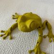 image00003~2.jpeg Articulated Clean Frog (V7 childproof links available now) scalable upto 30%