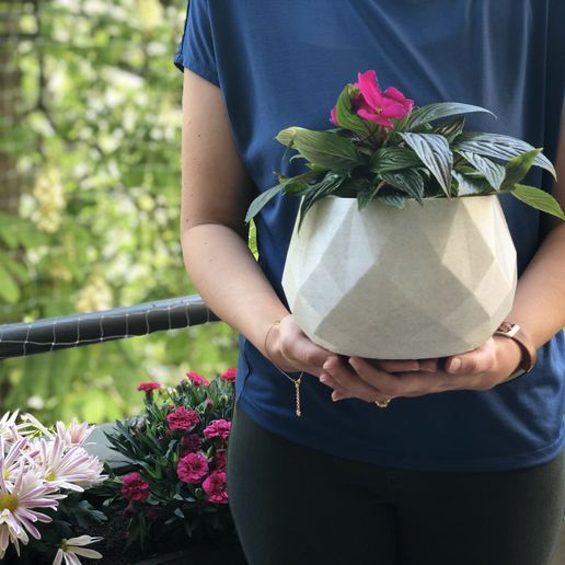 CURVY CRYSTAL LOWPOLY POTS (2 sizes) - 3D model önizlemesi