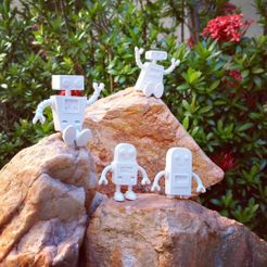 Robot Family Simple No Support