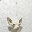 IMG-20250621-WA0024.jpg chihuahua dog head wall mount stl