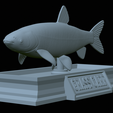Grass-carp-statue-22.png fish grass carp / Ctenopharyngodon idella statue detailed texture for 3d printing