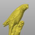 papug5.jpg Parrot on tree 3D scan