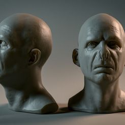 Voldemort-copy.jpg STL file Voldemort fan art・3D print design to download