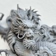 IMG_4491.jpeg oriental dragon