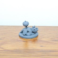 Geastrum pectinatum – MacroFungi Collection (6 of 10)