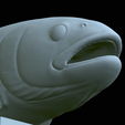 Rainbow-trout-statue-48.png fish rainbow trout / Oncorhynchus mykiss open mouth statue detailed texture for 3d printing