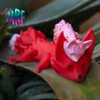 09.jpg Zorro flexi Печать на месте