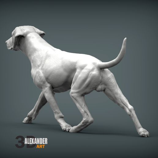 rhodesian-ridgeback-running6.jpg rhodesian ridgeback running 3D printed model