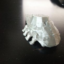 IMG_20160509_181846.jpg Fichier STL gratuit Lézard de cristal de Dark Souls・Idée pour impression 3D à télécharger