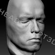 ArnoldSchwarzenegger_Head3dScan22.jpg 3D-сканированное изображение головы Арнольда Шварценеггера Lifecast Head (Терминатор, T800, Хищник, Конан-варвар, Коммандос, Полный отзыв, Правдивая ложь, Бегущий человек)