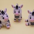 2.jpg Cute Flexi Zebra