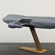 6.jpg Fichier STL gratuit Boeing 747 SP - 1:200・Modèle à télécharger et à imprimer en 3D