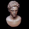 16.jpg Timothee Chalamet bust sculpture 3D print model