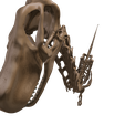 23.png Argentinosaurus : Esqueleto completo