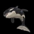 UV-2.jpg ORCA Killer Whale Dolphin FISH sea CREATURE 3D ANIMATED RIGGED MODEL