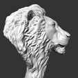 07.png Lion Head AM01 3D print model