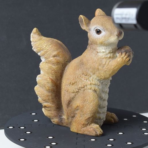 Squirrel 3D model