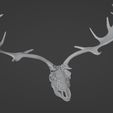 D1.jpg FILIGREE Deer or Elk SKULL WITH HORN