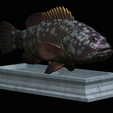 Dusky-grouper-8.png fish dusky grouper / Epinephelus marginatus statue detailed texture for 3d printing