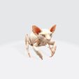 1.jpg Hybrid Sphynx Cat Creature with Insect Legs
