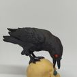 The Jewel Thief (Raven and Skull)