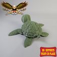11.jpg Flexi Turtle | Print in place | no support