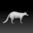 rac2.jpg Racoon - Racoon 3d model for 3d print