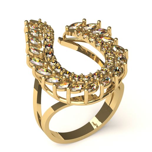 RING R 102 3D model