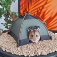8.jpg Hamster-Zelt-Haus. Ein gemütlicher Unterschlupf für Haustiere im Camping-Stil.