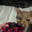 PXL_20250116_072652871.jpg Ducted Tinywhoop frame (based on Mobula6)