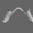 WhatsApp-Image-2024-04-18-at-19.44.16.jpeg dental model chrome denture with grinding